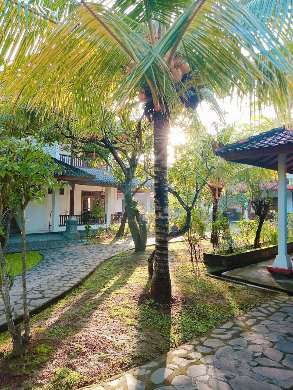 Rini Hotel Lovina  Luaran gambar