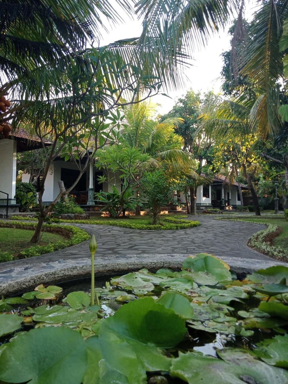 Rini Hotel Lovina  Luaran gambar