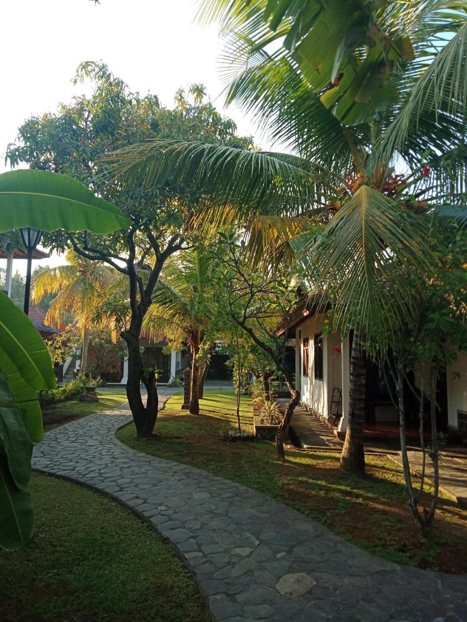 Rini Hotel Lovina  Luaran gambar