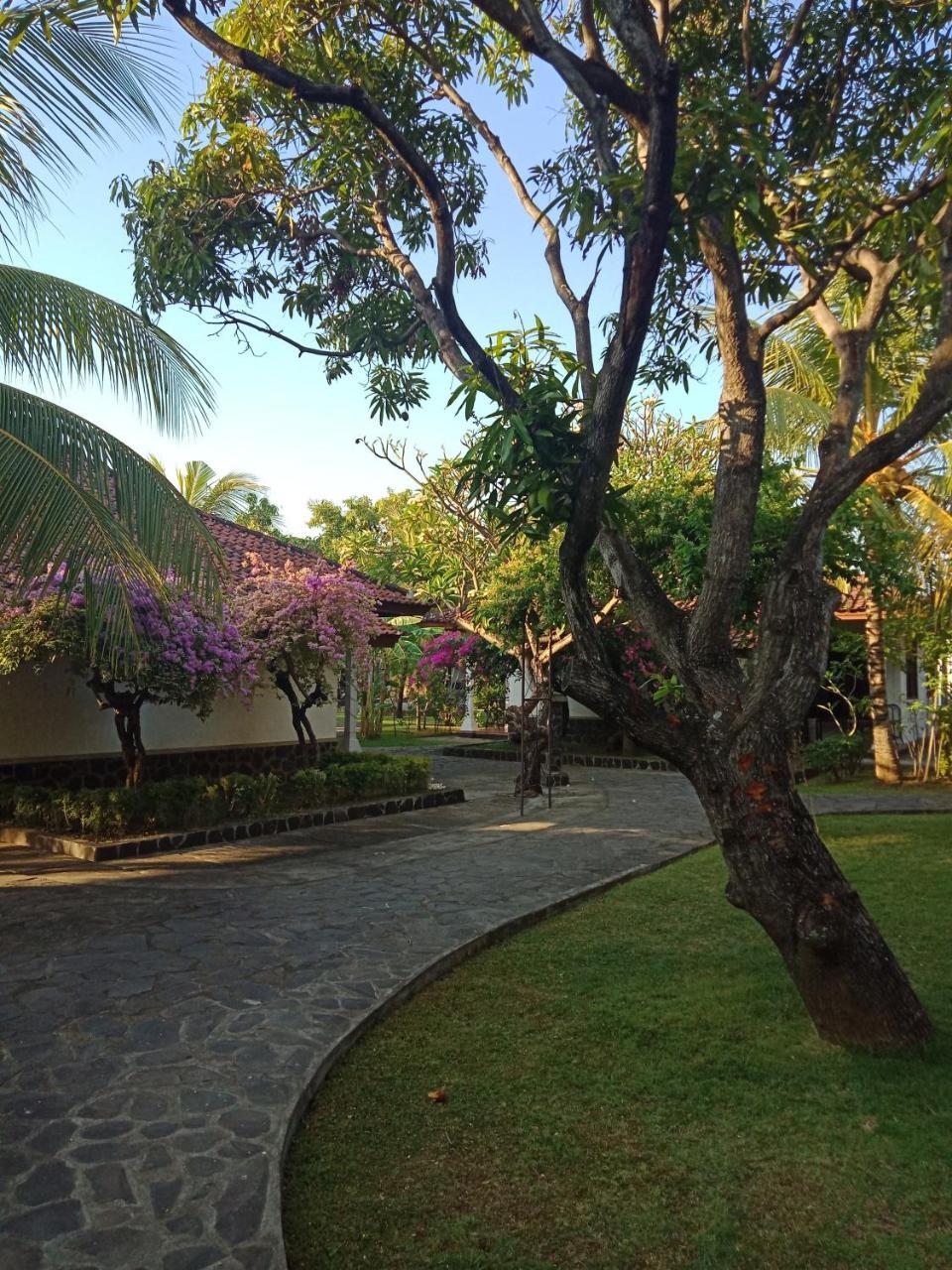Rini Hotel Lovina  Luaran gambar