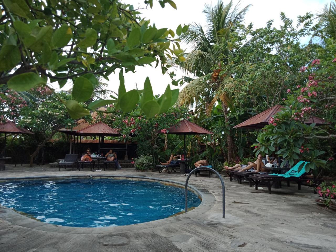 Rini Hotel Lovina  Luaran gambar