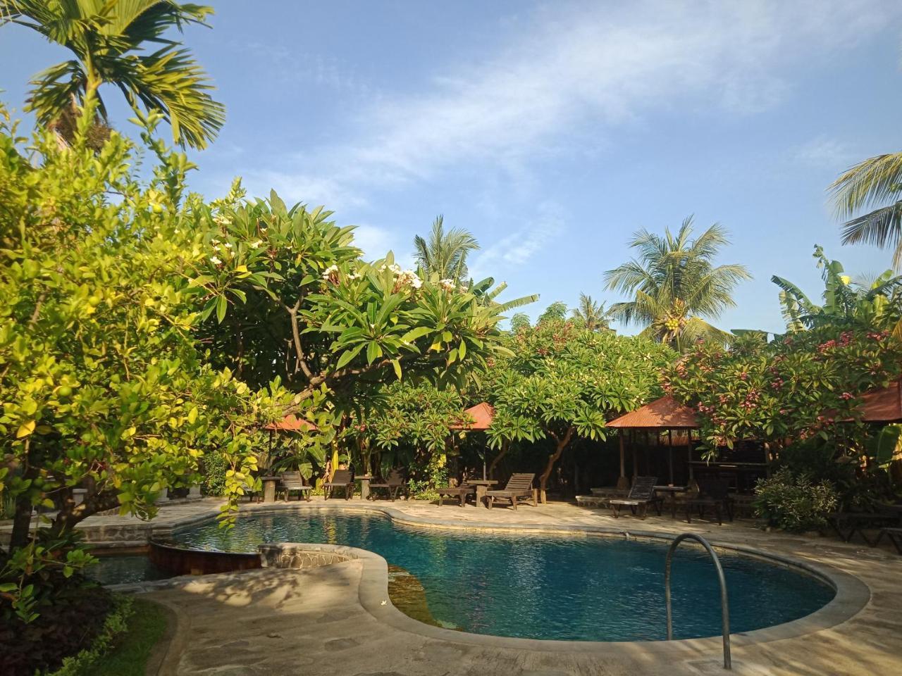 Rini Hotel Lovina  Luaran gambar