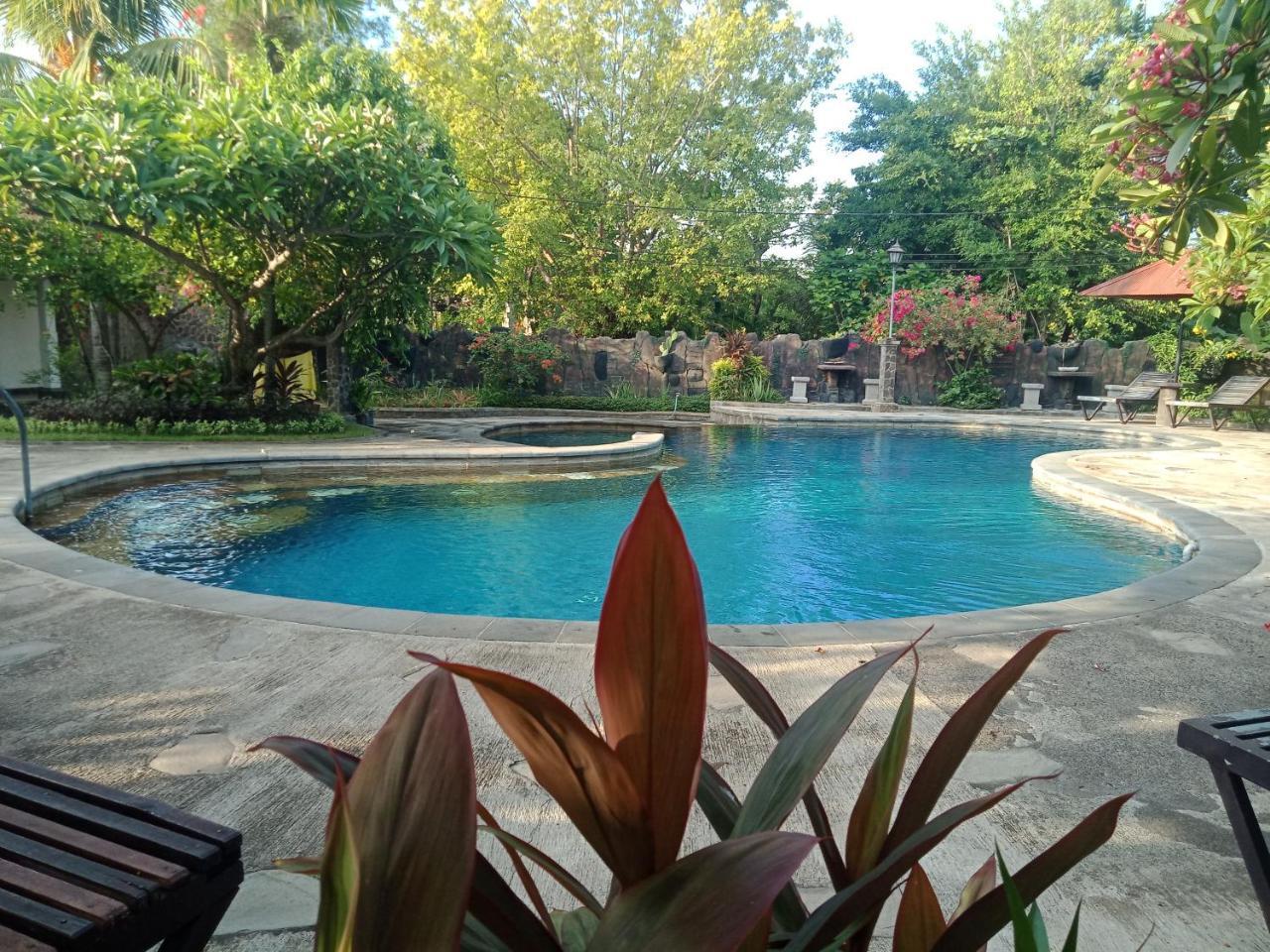 Rini Hotel Lovina  Luaran gambar